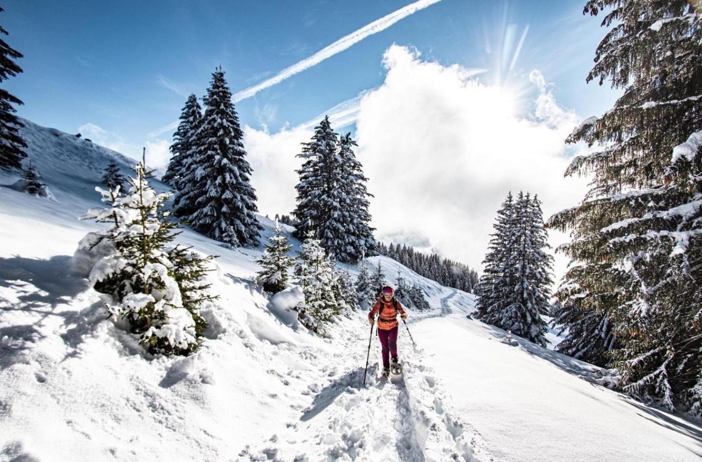 Apartment Toison Blanche Tba3 Cosy & Mountain 4 Pers